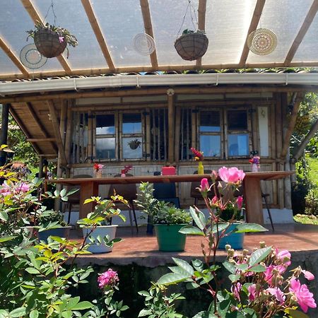 Ecohotel Soplo Del Tambo Cocorná Eksteriør billede