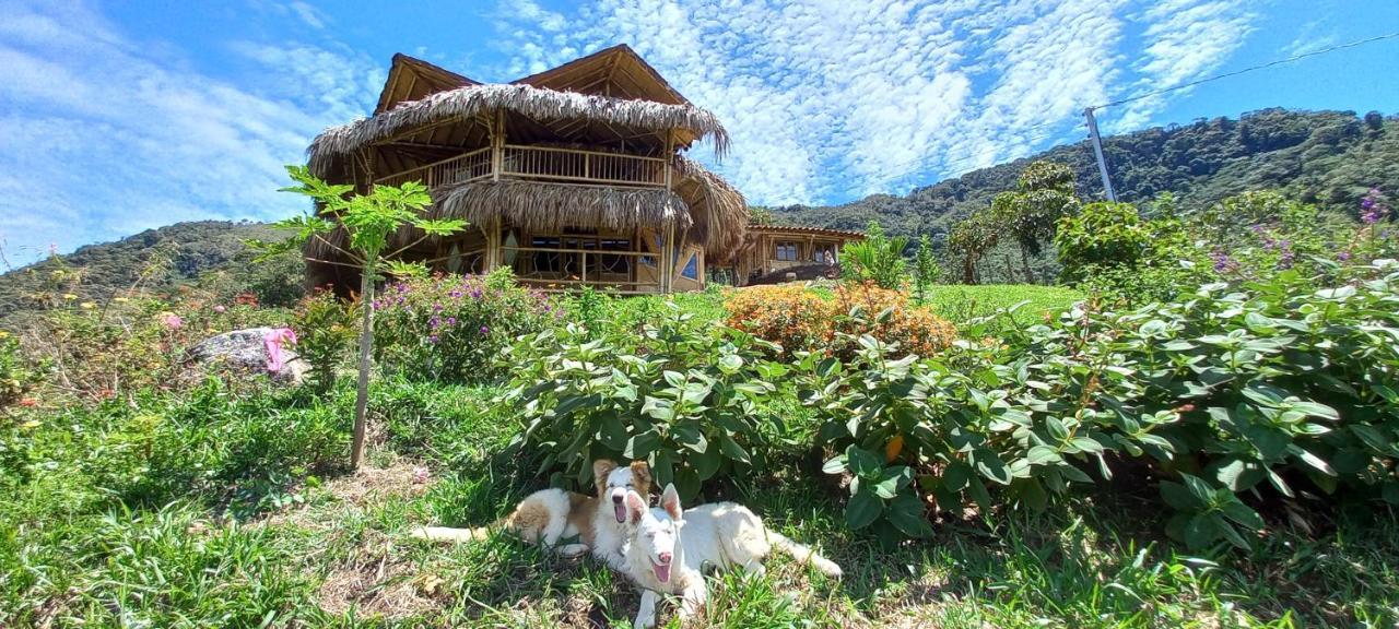 Ecohotel Soplo Del Tambo Cocorná Eksteriør billede