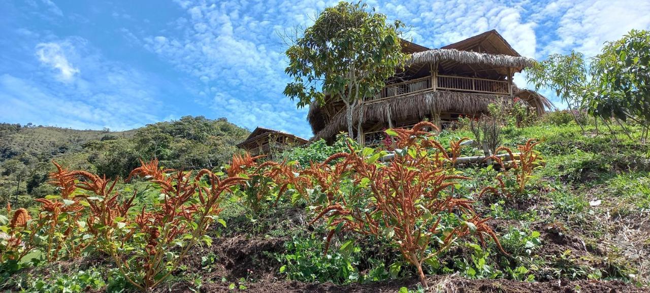 Ecohotel Soplo Del Tambo Cocorná Eksteriør billede