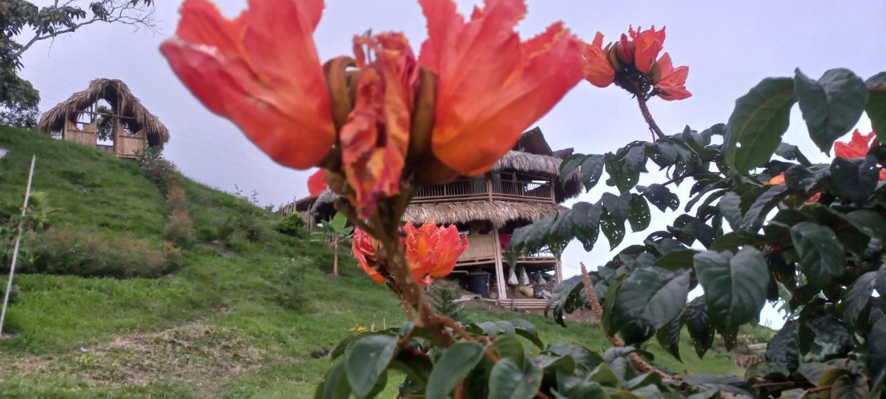 Ecohotel Soplo Del Tambo Cocorná Eksteriør billede