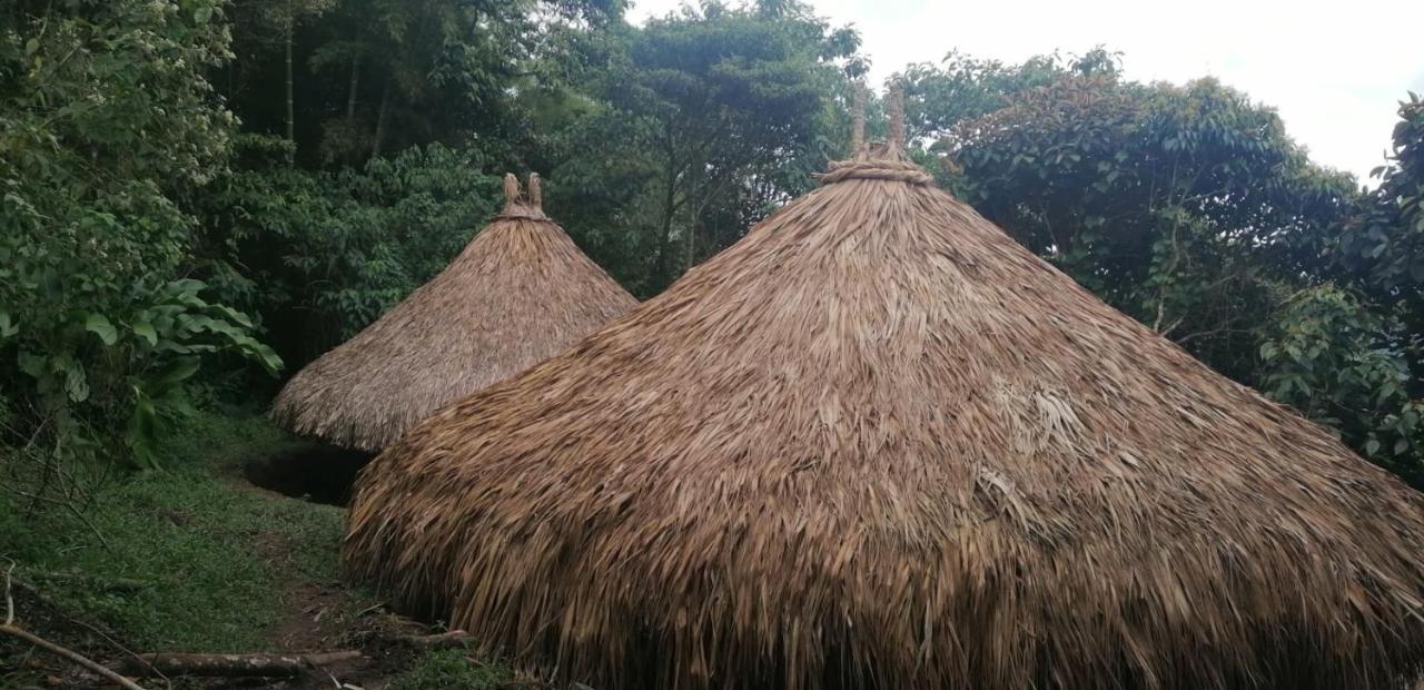 Ecohotel Soplo Del Tambo Cocorná Eksteriør billede